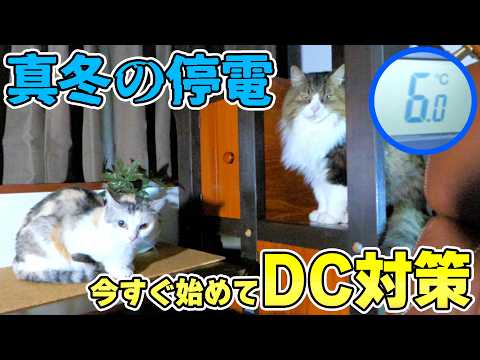 真冬に突然の停電…暖房停止で猫達は？極寒の夜とDC防災対策(YouTube)