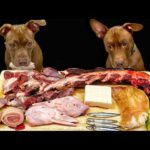 クセになるASMR!!ピットブルが豪快に骨を噛み砕く咀嚼音がやばすぎる(YouTube)