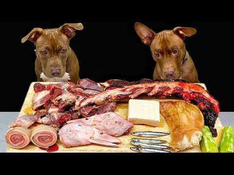 クセになるASMR!!ピットブルが豪快に骨を噛み砕く咀嚼音がやばすぎる(YouTube)