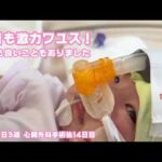 今日も激カワユス！ しかも嬉しいことが２つありました 生後21日 心臓外科手術後13日目  2026 02 06 2(YouTube)