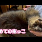 初めての抱っこ  どしたのマル  2026 02 17 2(YouTube)