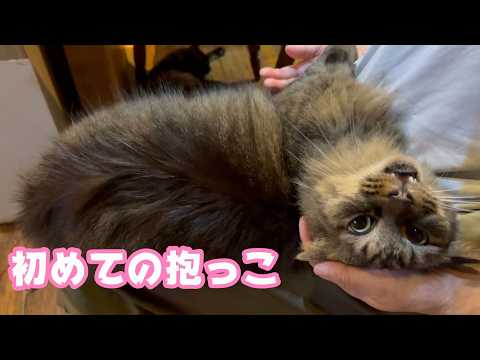 初めての抱っこ  どしたのマル  2026 02 17 2(YouTube)