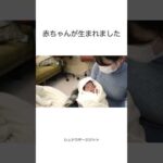 新しい家族がやってきました(YouTube)