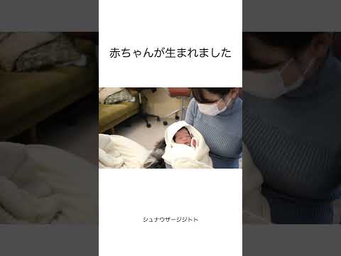 新しい家族がやってきました(YouTube)