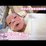 クシャミどうしましょ  昨日の月誕生日送信洩れです 今日明日は面会お休みです  2026 02 14 2(YouTube)