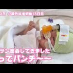 2026 02 05 2  にっこり笑ってぱ～んち  生後20日  心臓外科手術後13日目(YouTube)