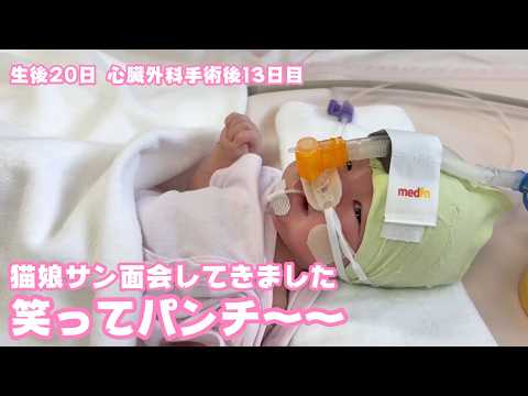 2026 02 05 2  にっこり笑ってぱ～んち  生後20日  心臓外科手術後13日目(YouTube)