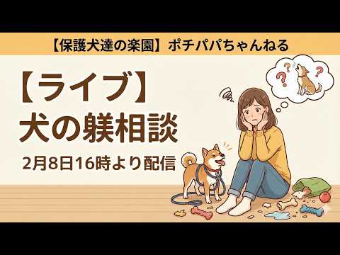 【ライブ】犬の躾相談（メンバー様は11日16時に変更させて頂きます）(YouTube)