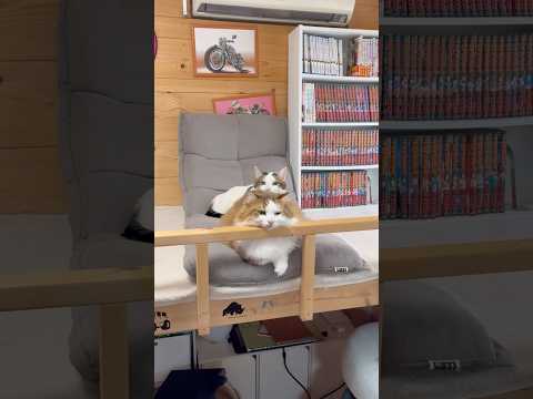 ミニトーテムポール(YouTube)