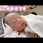 抱っこ大好きです 生後37日 心臓外科手術から30日目  2026 02 18 2(YouTube)