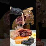 大人気鳥のあたまを爆食いするダギーさん(YouTube)