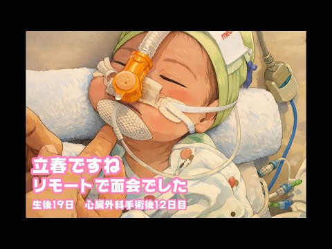 立春ですね  今日はリモートで面会でした  元気ですよ～  生後19日 心臓外科手術後12日目   2026 02 04 2(YouTube)