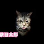 太郎はお茶目です サムネだけは釣りです  2026 02 15 1(YouTube)