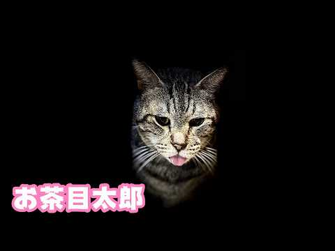 太郎はお茶目です サムネだけは釣りです  2026 02 15 1(YouTube)