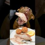 りんごまでうまそうに食べるピットブル(YouTube)