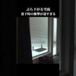 落雪！？屋根から落ちる雪に思わず吠えちゃう柴犬 #shibainu #犬のいる生活 #青森(YouTube)