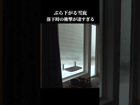 落雪！？屋根から落ちる雪に思わず吠えちゃう柴犬 #shibainu #犬のいる生活 #青森(YouTube)