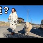 嘘だろ・・・？！(YouTube)