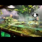 水槽の中に人間！？魚と同じ目線で観察できる生物園が楽しすぎた！【足立区生物園】(YouTube)