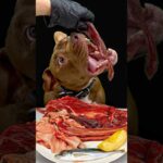 りんごちゃんはしっかり噛むダギーさんw(YouTube)