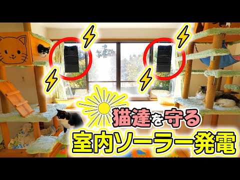 【猫達を守るDC停電対策】室内ソーラー充電スポットの作り方と費用＆発電結果を大公開！(YouTube)