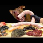 豪快すぎるASMR!!ピットブルが見たことない食材をボリボリかじる咀嚼音(YouTube)