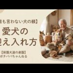 【誰も言わない】正しい愛犬の迎え入れ方(YouTube)