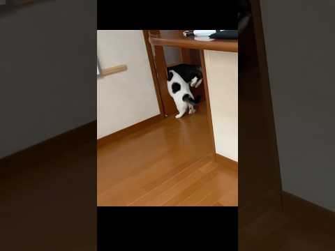 昨日のパニックを見て思い出したこと(YouTube)