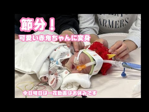 節分！可愛い赤鬼に変身しましたよ～  生後19日目  心臓外科手術12日目  2026 02 03 2(YouTube)