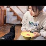 カラスのささみが選ぶ贅沢な食材とは？(YouTube)