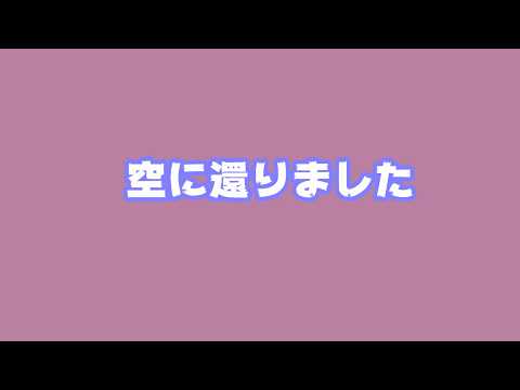 空に還りました   2026 02 12 2(YouTube)