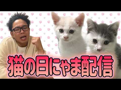 サンシャイン池崎猫の日チャリティーにゃま配信！(YouTube)