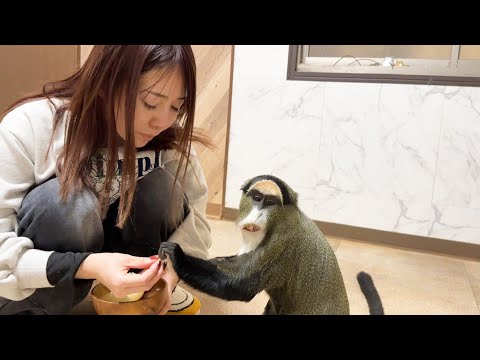 とんでもないでかい果物を動物たちに食べさせよう(YouTube)