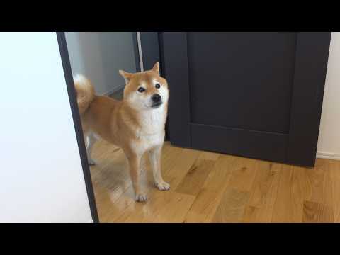 え？家に帰ると…パパがいなくなってました(YouTube)