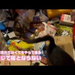 災害は忘れてなくてもやって来る  禍転じて福となりません   2026 02 08 1(YouTube)