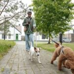 犬との散歩中『歩きスマホ』が絶対NGな理由3選　愛犬の命を守るために必ず知っておくべきことまで(ブログ)