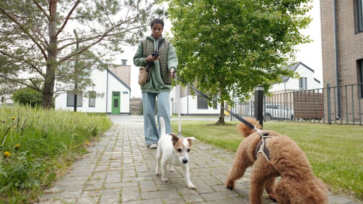 犬との散歩中『歩きスマホ』が絶対NGな理由3選　愛犬の命を守るために必ず知っておくべきことまで(ブログ)