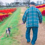 犬と仲良しだった『おじいちゃん』が突然の他界…孫のように暮らした『かけがえのない記録』に思わず涙「優しい笑顔…」「お空で見守ってるよ」(ブログ)