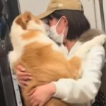 卒業旅行中のお姉ちゃんを毎日玄関で待っていた犬→５日ぶりに再会した結果…想像以上の『熱烈大歓迎』に感動「嬉しいの最上級」「体当たりの愛」(ブログ)