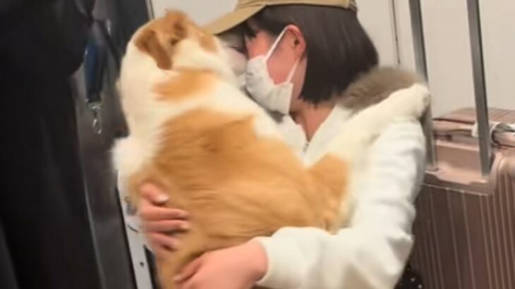 卒業旅行中のお姉ちゃんを毎日玄関で待っていた犬→５日ぶりに再会した結果…想像以上の『熱烈大歓迎』に感動「嬉しいの最上級」「体当たりの愛」(ブログ)