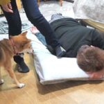 パパが痛みで悲鳴を上げたら、2匹の犬がやってきて…家族愛あふれる『優しい行動』に感動の声「本当に賢い」「ウルウルした…」「心配してる」(ブログ)