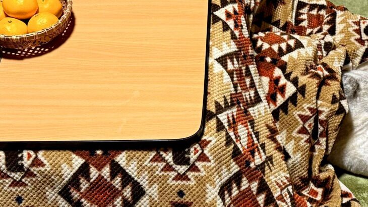 カッコよくて寒さに強いイメージの『シベリアンハスキー』→実際は…想像とかけ離れている『衝撃の光景』に4万いいね「情けなくて草」「野生ｗ」(ブログ)