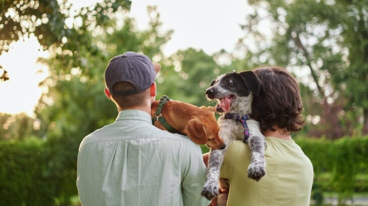 犬友同士で『起こりがちなトラブル』5つ　揉め事を事前に防ぐためにできることとは？(ブログ)