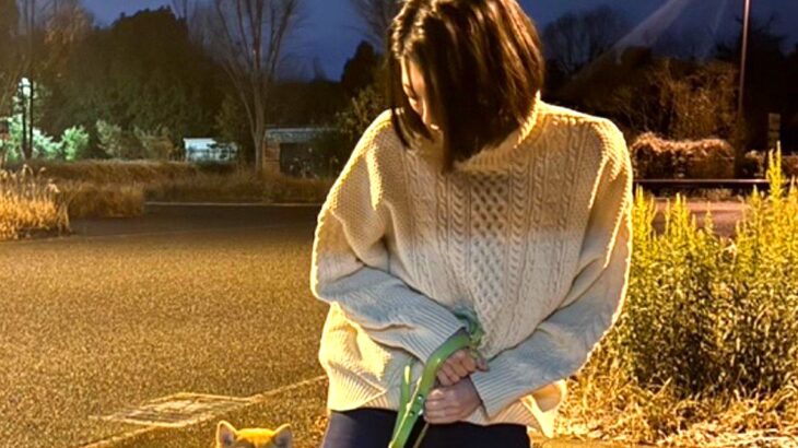 犬を『パーキングエリア』に連れて行った結果→帰りたくないと駄々をこねて…奇跡的な『カッコよすぎる一枚』に爆笑「カメラ目線で草」「完璧ｗ」(ブログ)