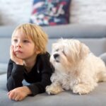 犬が『テレビを真剣に見つめている』ときの心理3つ　人間のように内容を理解しているの？(ブログ)