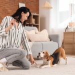 犬の『褒めるしつけ』ってどのようにすればいいの？成功させるための3つのステップを解説(ブログ)