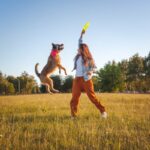 『運動量が多い』犬種4選　体力があり余っているワンコとできる発散方法とは？(ブログ)