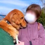 牧場で『トロッコ列車』に乗った大型犬→『楽しんでくれるかな』と思ったら、お母さんに…まさかの光景が39万再生「怖かったねｗ」「愛おしい」(ブログ)