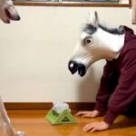 馬の被り物をした男性→そのまま『犬におもちゃの使い方を教えた』結果…あまりにもシュールな光景が160万再生「ポカーン顔ｗ」「困ってて草」(ブログ)