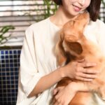 犬が『甘えたくなる人』の特徴4つ　今日から真似したい好かれるためのコツをご紹介(ブログ)